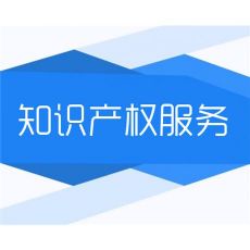 全面加强知识产权保护的科学指南